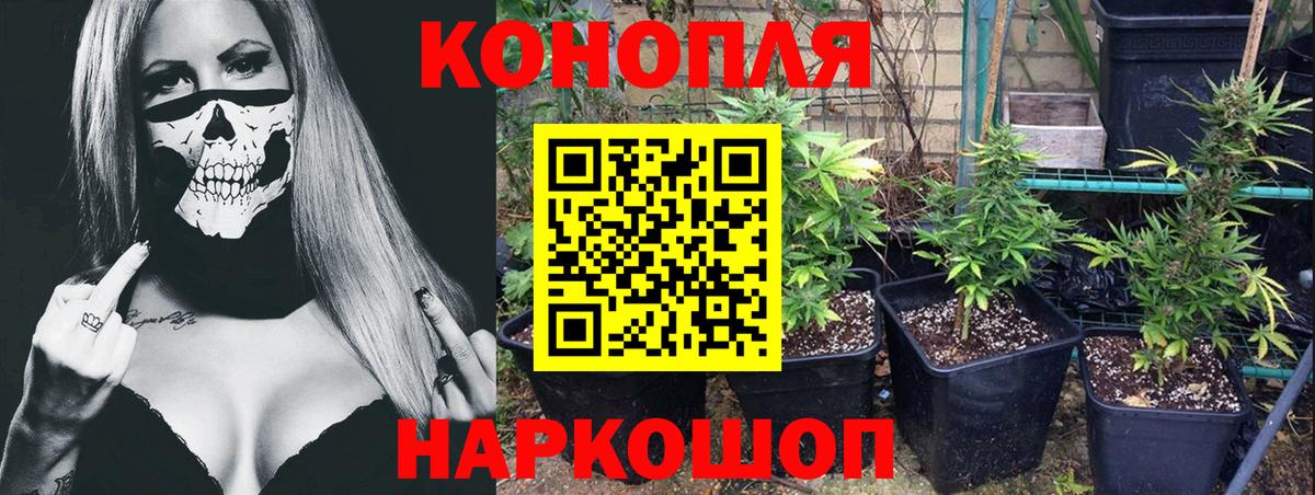 Алейск  Шишки марихуана Amnesia  Каннабис гибрид  Бошки марихуана LSD WEED  Вход с VPN 